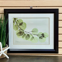 Framed Art