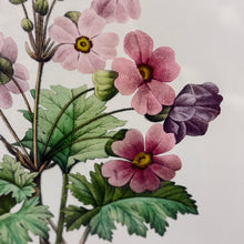 Load image into Gallery viewer, Framed Pink Floral
