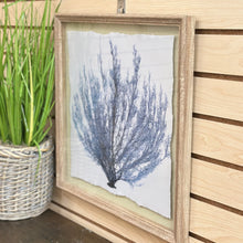 Load image into Gallery viewer, Framed Blue Coral IV
