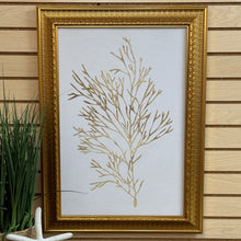 Load image into Gallery viewer, Gold Framed Sea Life Art
