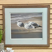 Load image into Gallery viewer, Demise Nelson Seagull Art
