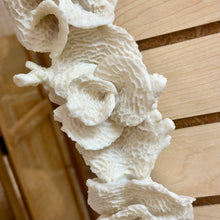 Load image into Gallery viewer, White Coral Mirror
