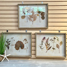 Load image into Gallery viewer, Set/3 Botanical Art
