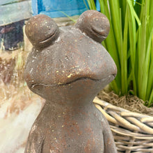 Load image into Gallery viewer, Yoga Frog II
