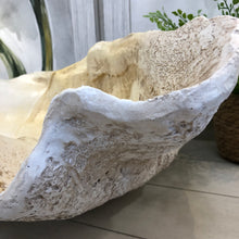 Load image into Gallery viewer, LG Clam Shell Decor
