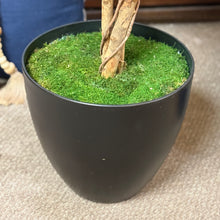 Load image into Gallery viewer, Faux Ficus In Blk Pot
