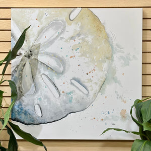 Coastal Sand Dollar Canvas