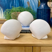 Load image into Gallery viewer, White Clam Decor
