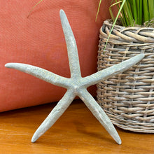 Load image into Gallery viewer, Blue-Grey Starfish
