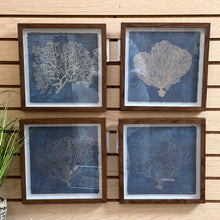 Load image into Gallery viewer, Set/4 Navy &amp; Silver Coral Prints
