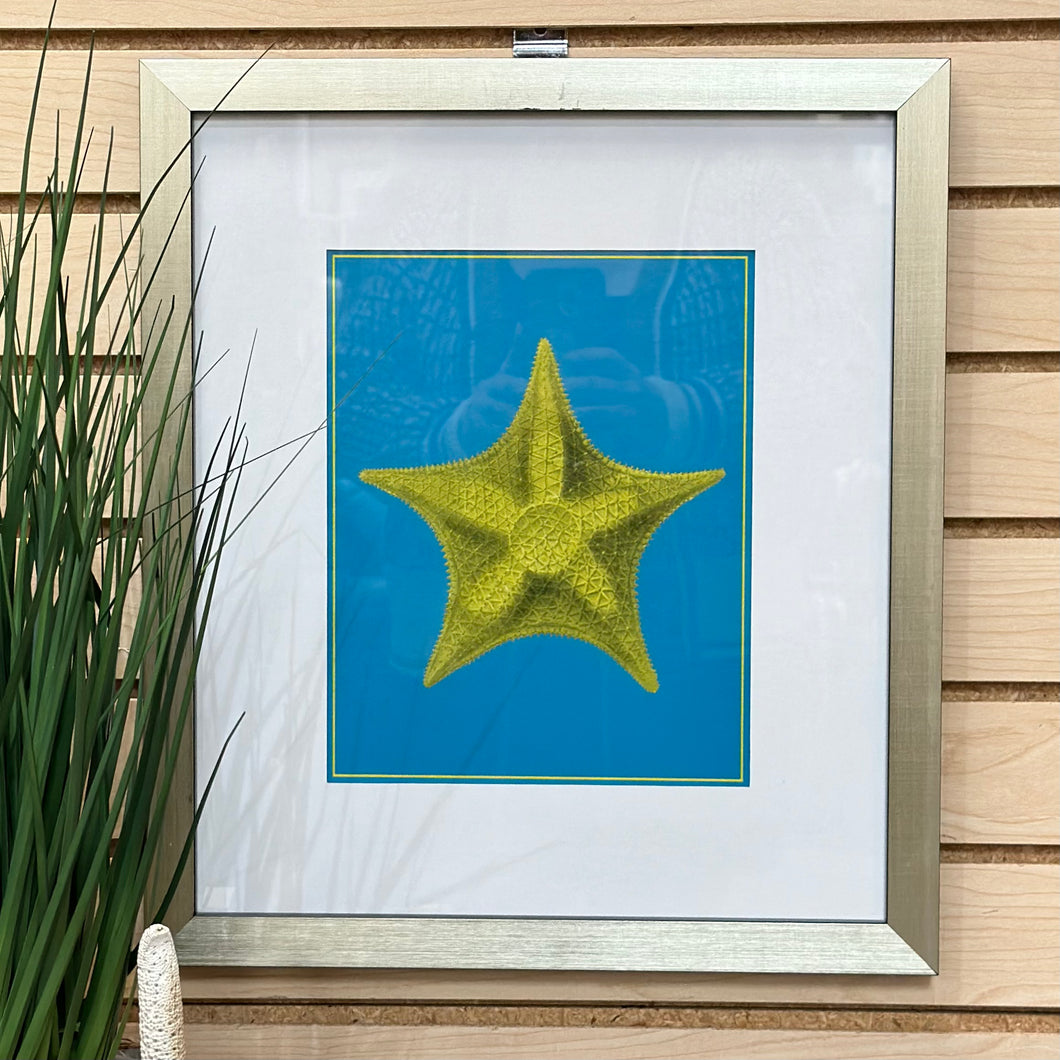 Yellow Starfish Art