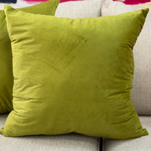 Load image into Gallery viewer, Chartreuse Pillow
