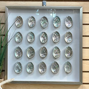 Framed Shell Art