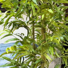 Load image into Gallery viewer, Faux Bamboo In White Pot
