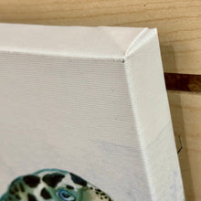 Load image into Gallery viewer, Seaweed Turtle I Canvas
