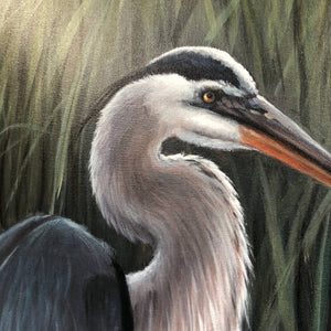 Blue Heron In Marsh