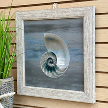 Load image into Gallery viewer, Blue/Grey Nautilus II
