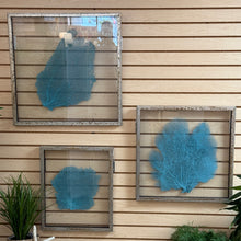 Load image into Gallery viewer, LG Glass Framed Sea Fan
