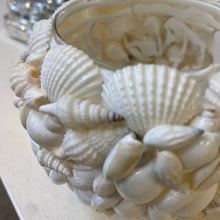Load image into Gallery viewer, White Shell Candle Holder
