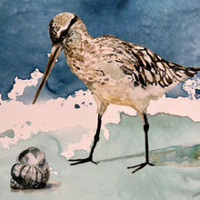 Load image into Gallery viewer, SM Sandpiper II
