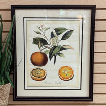 Load image into Gallery viewer, Framed Oranges Art

