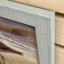 Load image into Gallery viewer, Sandpiper On Shore II
