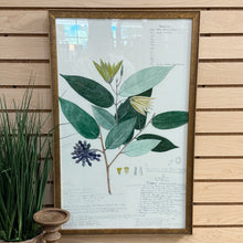 Load image into Gallery viewer, Gold Framed Botanical II
