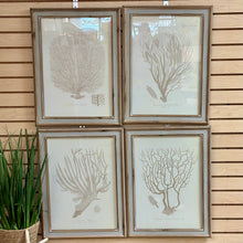 Load image into Gallery viewer, Seafan I Art
