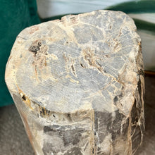 Load image into Gallery viewer, Tree Stump Accent Table
