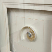 Load image into Gallery viewer, 'Pearled Nautilus II' Art
