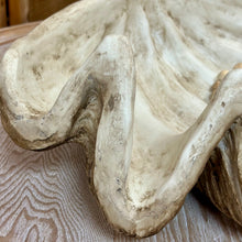 Load image into Gallery viewer, Clam Shell Decor
