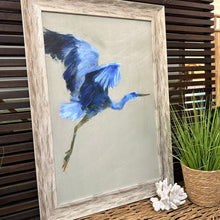 Load image into Gallery viewer, Blue Marsh Bird In Flight II
