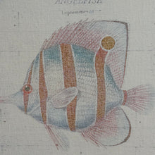 Load image into Gallery viewer, Fish Canvas Art
