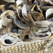 Load image into Gallery viewer, Oyster Shell Decorative Box
