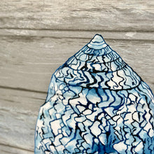 Load image into Gallery viewer, Blue Cowrie Shell

