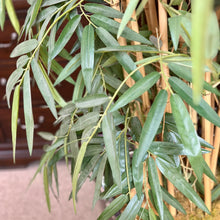 Load image into Gallery viewer, Tall Faux Bamboo Tree
