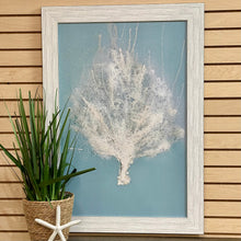 Load image into Gallery viewer, Aqua Sea Fan II Giclee
