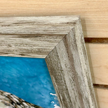 Load image into Gallery viewer, SM Sandpiper II

