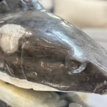 Load image into Gallery viewer, Petrified Wood Fish
