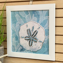 Load image into Gallery viewer, SM Aqua Sand Dollar
