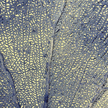Load image into Gallery viewer, Blue Sea Fan Art
