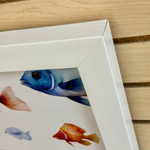 Load image into Gallery viewer, Colorful Tropical Fish I
