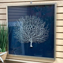 Load image into Gallery viewer, Sea Fan Shadow Box Art
