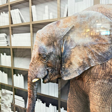 Load image into Gallery viewer, Elephant Library Art
