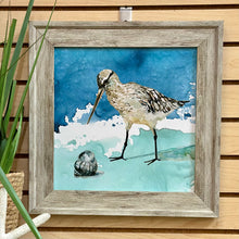 Load image into Gallery viewer, SM Sandpiper II
