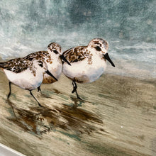 Load image into Gallery viewer, Shorebirds On Sand Giclee
