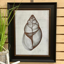Load image into Gallery viewer, Black Framed Shell Art II
