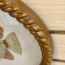 Load image into Gallery viewer, Oval Fish Print III Art

