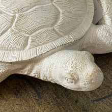 Load image into Gallery viewer, Ivory Sea Turtle
