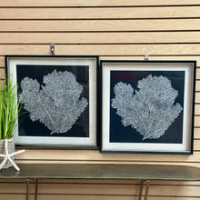 Load image into Gallery viewer, Framed Silver Coral

